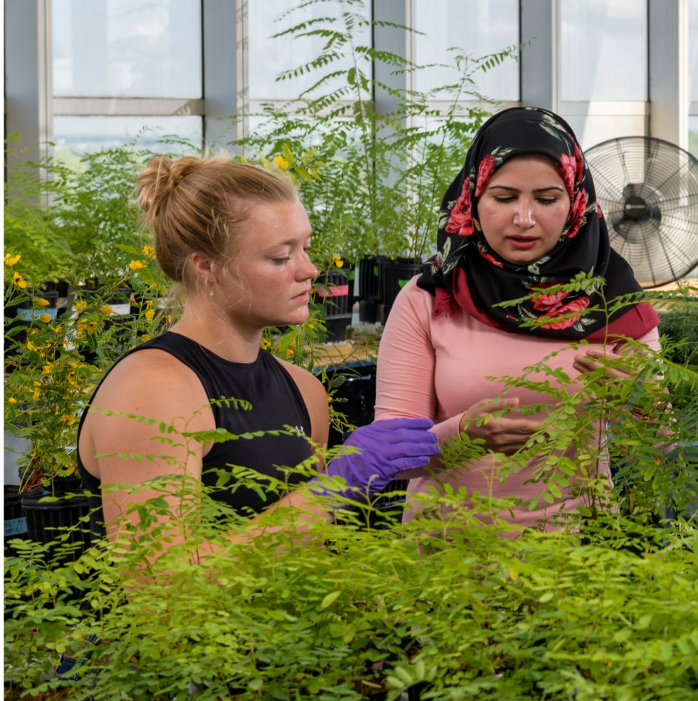 Two people work together in a greenhouse observing the plants growing inside.