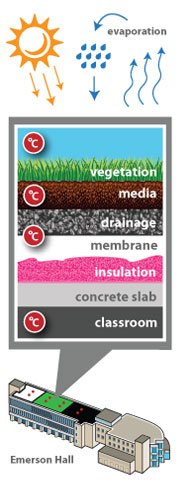 green roof infographic