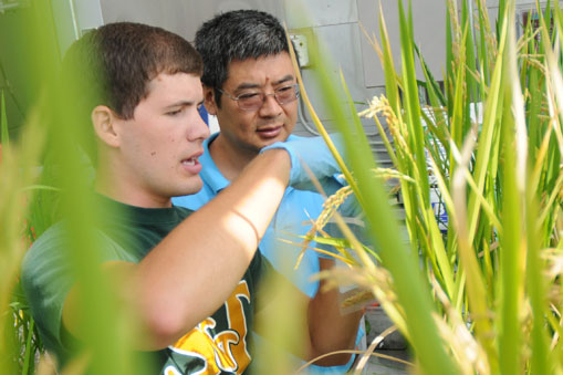 Dr. Jianmin Wang in the Greenhouse